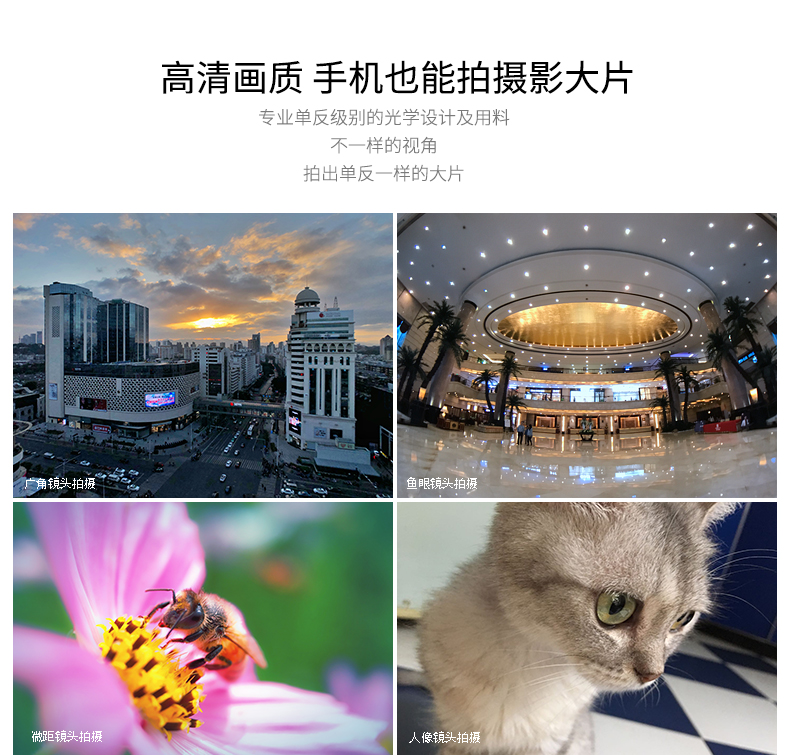 手机镜头II_06.jpg